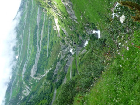 P1040331