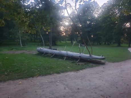 IMG-20211004-WA0001