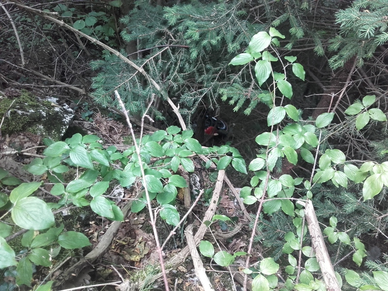 20160705_111554